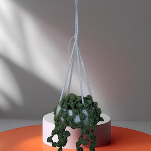 string of pearls hanging plant.