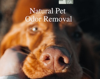 Élimination naturelle des odeurs d'animaux de compagnie