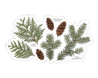 NW Pine Branch Stickers | Botanical Evergreen Decal | Forest Pine Cone Art | Woodland Gift