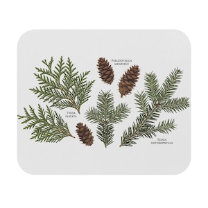 Può includere: Un tappetino per mouse bianco con illustrazioni botaniche di rami sempreverdi e pigne. L'immagine include i nomi scientifici: Thuja Plicata, Pseudotsuga Menziesii e Tsuga Heterophylla. Il design presenta un tema ispirato alla natura.