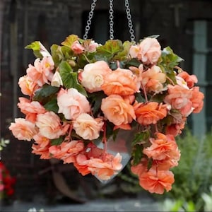 May include: A handmade, ceramic mug with a speckled, cream-colored glaze. The mug features a wide, rounded body and a sturdy handle. The interior is a darker, earthy tone. The mug is approximately 4 inches tall.