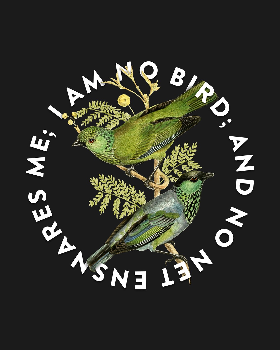 Jane Eyre Quote Print i Am No Bird and No Net Ensnares Etsy