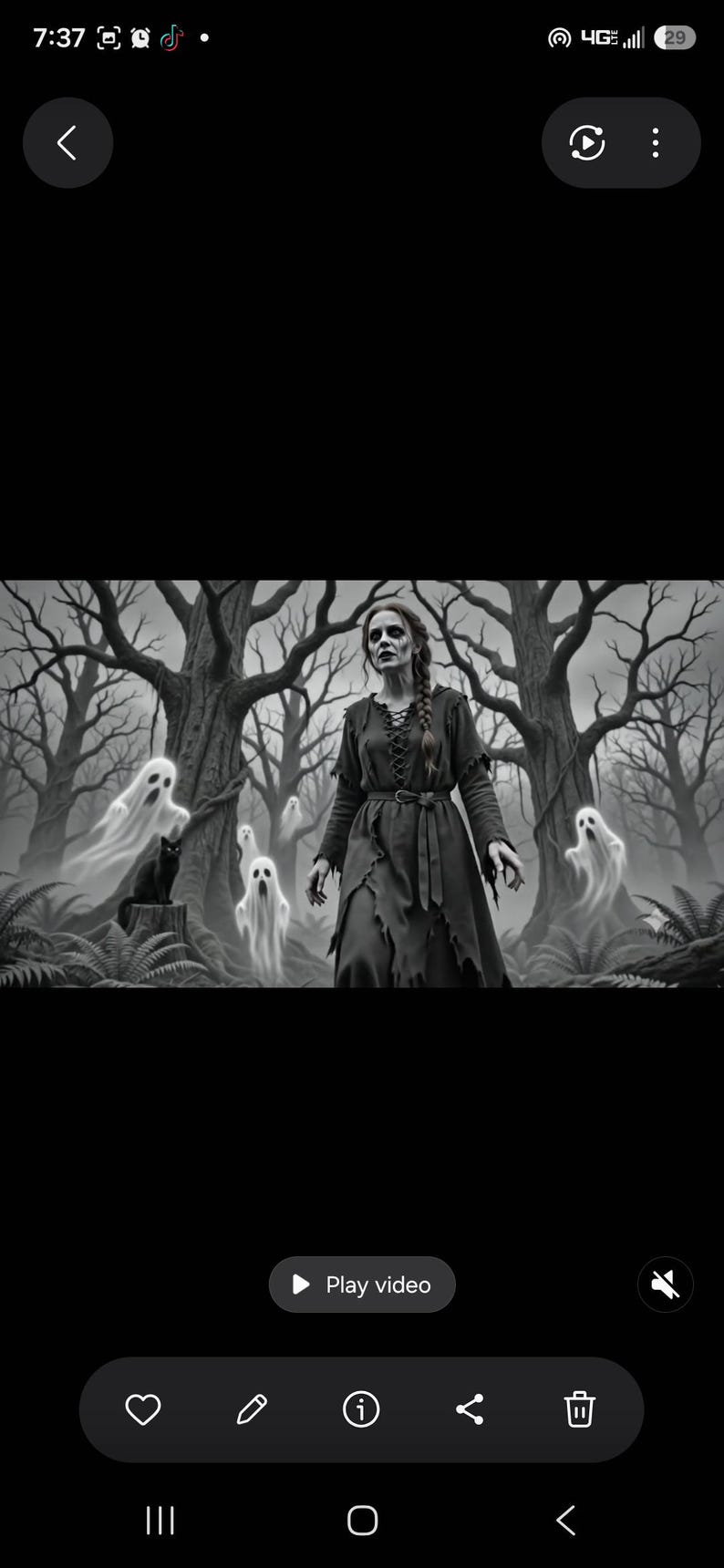 May include: A black and white illustration of a person with long braided hair wearing a dark, tattered, long-sleeved dress with a lace-up bodice and belt, standing in a forest with several translucent, glowing ghosts and a black cat.