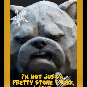 May include: A humorous image featuring a stone bulldog sculpture named Rocky. The image includes the text "MEET ROCKY!" and a playful message: "I'm not just a rock&mdash;I'm your best fur-end!" The design incorporates a star and heart graphic.