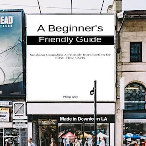 Op de afbeelding: Een groot reclamebord toont de tekst "A Beginner's Friendly Guide" met de ondertitel "Smoking Cannabis: A Friendly Introduction for First-Time Users". De foto is genomen in een winkelstraat.