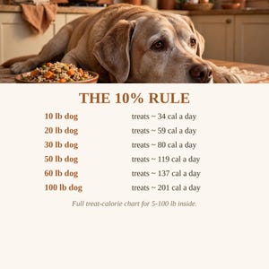 The Copycat Pet Kitchen Vol. 2 — Treats, Bakes and Special Diets | 48 Homemade Dog Treat Recipes: Training Treats, Biscuits and Pupcakes image 3