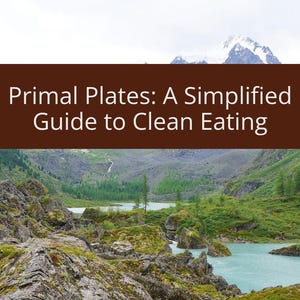 May include: A book cover with a mountain range in the background and a lake in the foreground. The title is "Primal Plates: A Simplified Guide to Clean Eating" by Phillip Way.