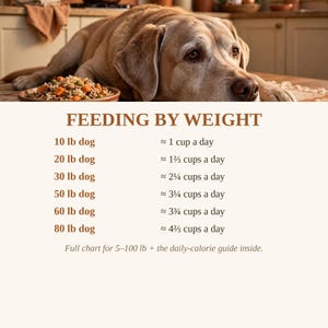 May include: A light brown Labrador dog rests behind a feeding chart titled FEEDING BY WEIGHT. The chart lists daily cup amounts for dogs weighing 10 to 80 lbs, noting a full chart for 5-100 lbs and a daily-calorie guide are included inside.