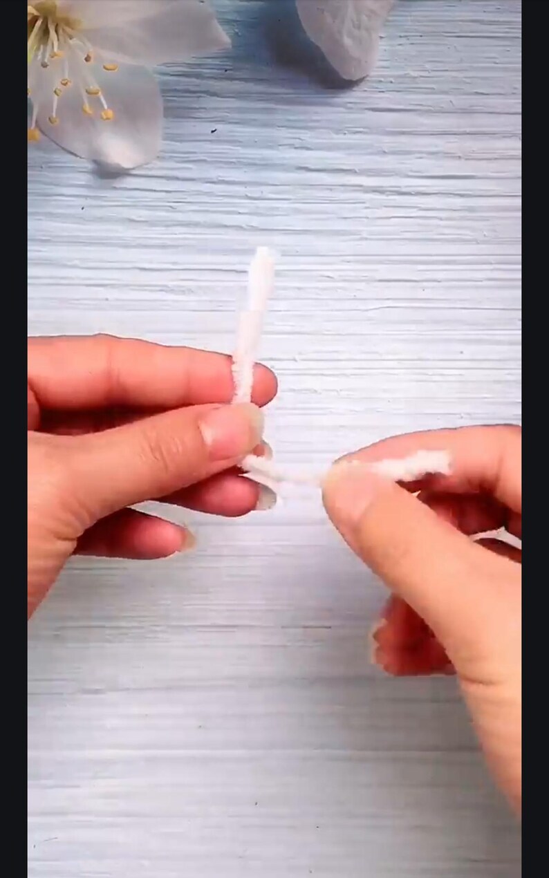 May include: A person's hands are shown holding two white pipe cleaners, twisting them together.