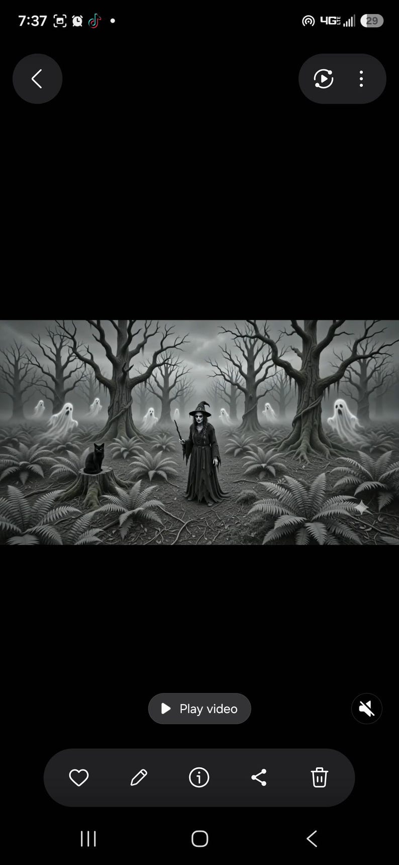 May include: A black and white illustration of a figure in a pointed hat and long dark robe standing in a forest with bare trees, ferns, and a black cat sitting on a tree stump. Several translucent ghost-like figures float among the dark trees.