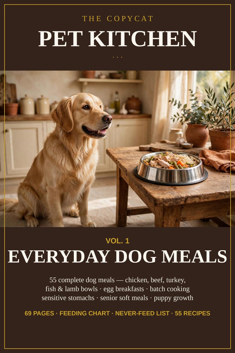 May include: A book cover titled THE COPYCAT PET KITCHEN VOL. 1 EVERYDAY DOG MEALS. It features a golden retriever sitting next to a metal bowl of food on a wooden table. Text lists 55 complete dog meals, chicken, beef, turkey, fish, lamb, egg breakfasts, batch cooking, sensitive stomachs, senior soft meals, puppy growth, 69 pages, feeding chart, never-feed list, and 55 recipes.