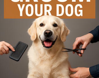 The Proper Way to Groom Your Dog - Digital Bundle with PLR Resell Rights