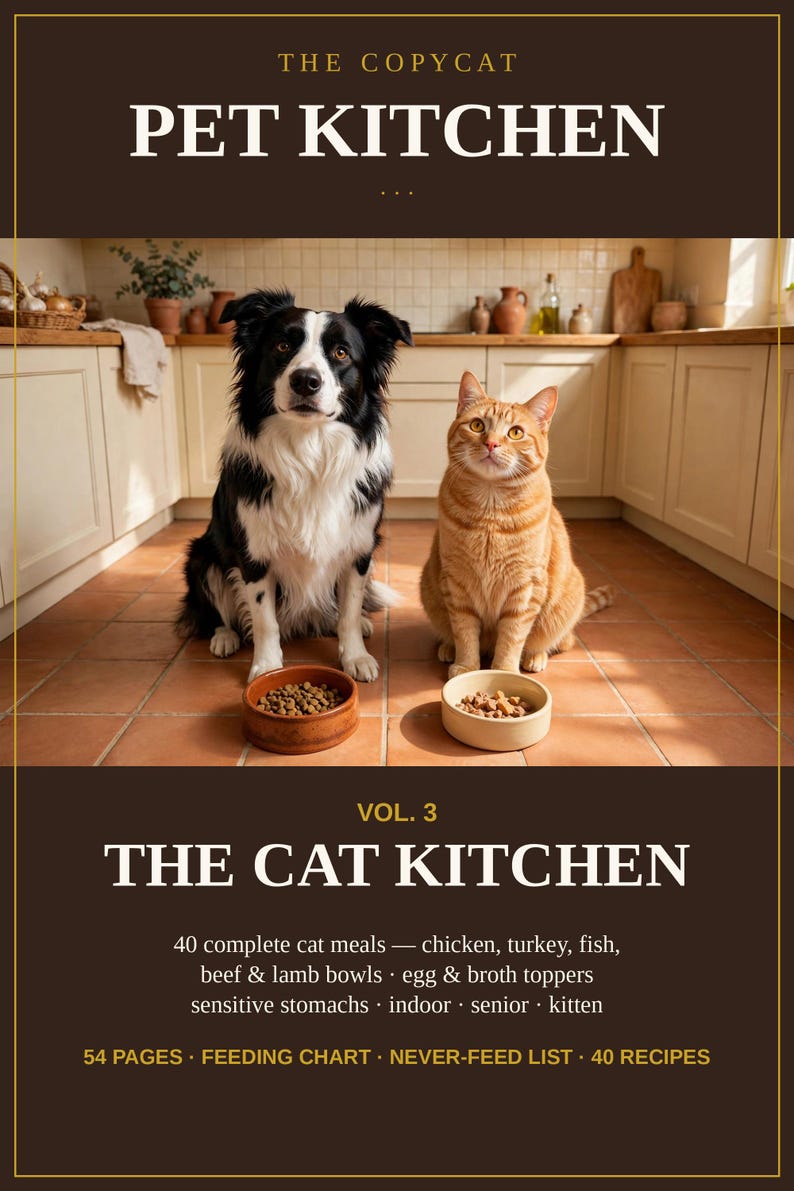The Copycat Pet Kitchen Vol. 3 — The Cat Kitchen | 40 Homemade Cat Food Recipes: Chicken, Turkey, Fish and Beef Bowls, Senior, Kitten Meals image 1