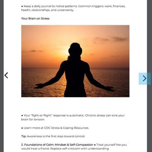 Pu&ograve; includere: Silhouette di una persona con le braccia tese contro un tramonto sull'oceano. L'immagine fa parte di un documento che tratta i fattori scatenanti dello stress, il cervello sotto stress e i fondamenti della calma.