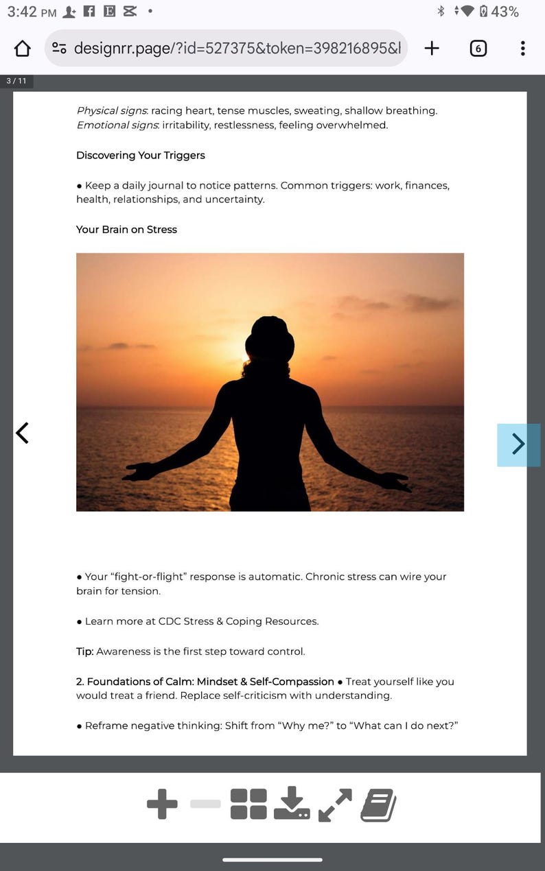 Pu&ograve; includere: Silhouette di una persona con le braccia tese contro un tramonto sull'oceano. L'immagine fa parte di un documento che tratta i fattori scatenanti dello stress, il cervello sotto stress e i fondamenti della calma.