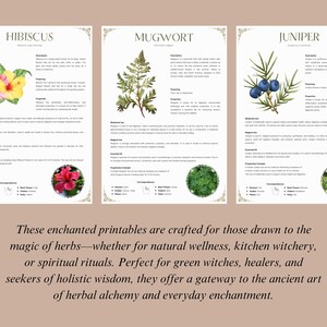 May include: Three printable cards featuring watercolor illustrations of hibiscus, mugwort, and juniper plants. Each card includes the plant's name, description, uses, and magical properties.