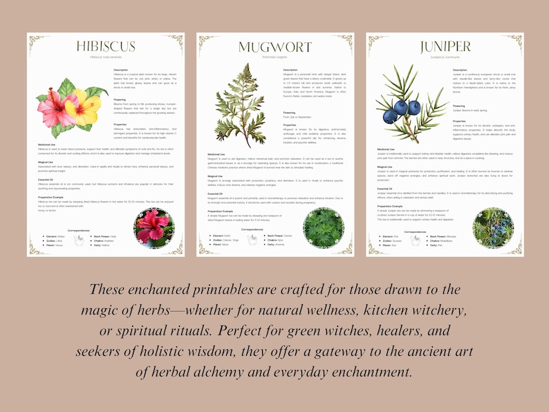 May include: Three printable cards featuring watercolor illustrations of hibiscus, mugwort, and juniper plants. Each card includes the plant's name, description, uses, and magical properties.