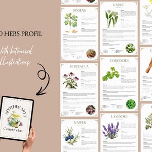 May include: A digital tablet displaying a digital illustration of a book titled "Apothecary's Compendium" with a floral design. The tablet is surrounded by 10 illustrated cards featuring botanical illustrations of various herbs, including garlic, ginseng, cinnamon, coriander, echinacea, mugwort, lavender, and juniper.