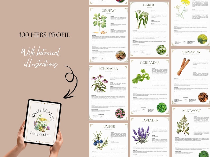 May include: A digital tablet displaying a digital illustration of a book titled "Apothecary's Compendium" with a floral design. The tablet is surrounded by 10 illustrated cards featuring botanical illustrations of various herbs, including garlic, ginseng, cinnamon, coriander, echinacea, mugwort, lavender, and juniper.
