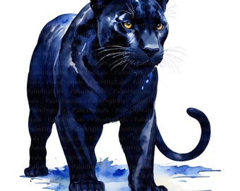 16 Black Panther PNG SVG Clipart • Panther Scrapbook Graphics for POD, Sublimation, Cards • Panther Watercolor jpeg Bundle • PalmDigitals