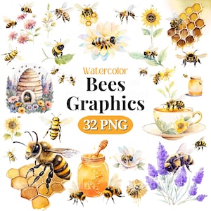 Bienen PNG SVG Clipart • Hummel Scrapbook Grafiken für POD, Sublimation, Designs • Hummeln jpeg Bundle • PalmDigitals