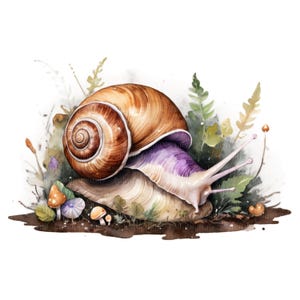16 cliparts PNG SVG escargot • Graphismes de scrapbooking escargot de jardin printanier pour POD, sublimation, cartes • Lot floral jpeg escargot • PalmDigitals