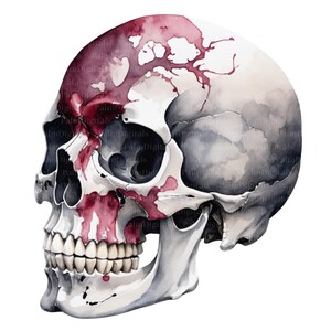 May include: Watercolor illustration of a human skull with a white and gray color scheme. The skull features red watercolor accents on the forehead and cheekbones, with visible teeth. The image has a spooky, yet artistic aesthetic.