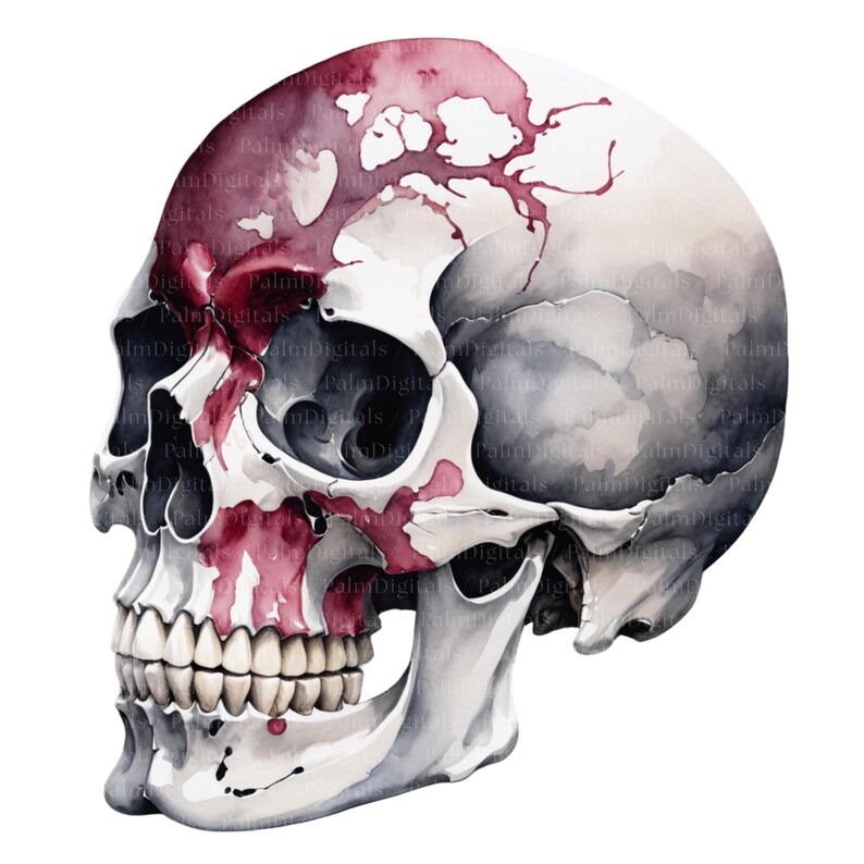May include: Watercolor illustration of a human skull with a white and gray color scheme. The skull features red watercolor accents on the forehead and cheekbones, with visible teeth. The image has a spooky, yet artistic aesthetic.