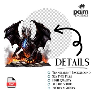 May include: A digital illustration of a black dragon with large wings, sitting on a rocky surface with flames. The dragon has a blue glowing chest. The image includes the text "DETAILS" and "PNG".