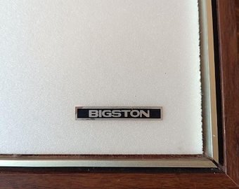Altavoz de panel BIGSTON Modelo PS-7 10W-50W 30Hz-20000Hz