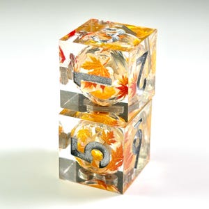 May include: Two stacked clear resin dice with sharp edges, each containing embedded miniature orange, yellow, and red autumn maple leaves. The numbers are engraved in a dark metallic finish, with the top die showing a three and the bottom die a five.