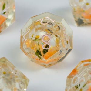 Puede incluir: Dados transparentes multifacéticos con margaritas blancas incrustadas, detalles en naranja y números rosas. Varios dados son visibles en la imagen. Estos dados están diseñados para juegos de mesa.