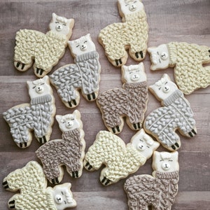 18 Custom Cookies