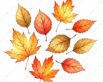 Watercolor Fall Leaf Clipart: Cozy Autumn Leaves (Digital Download)