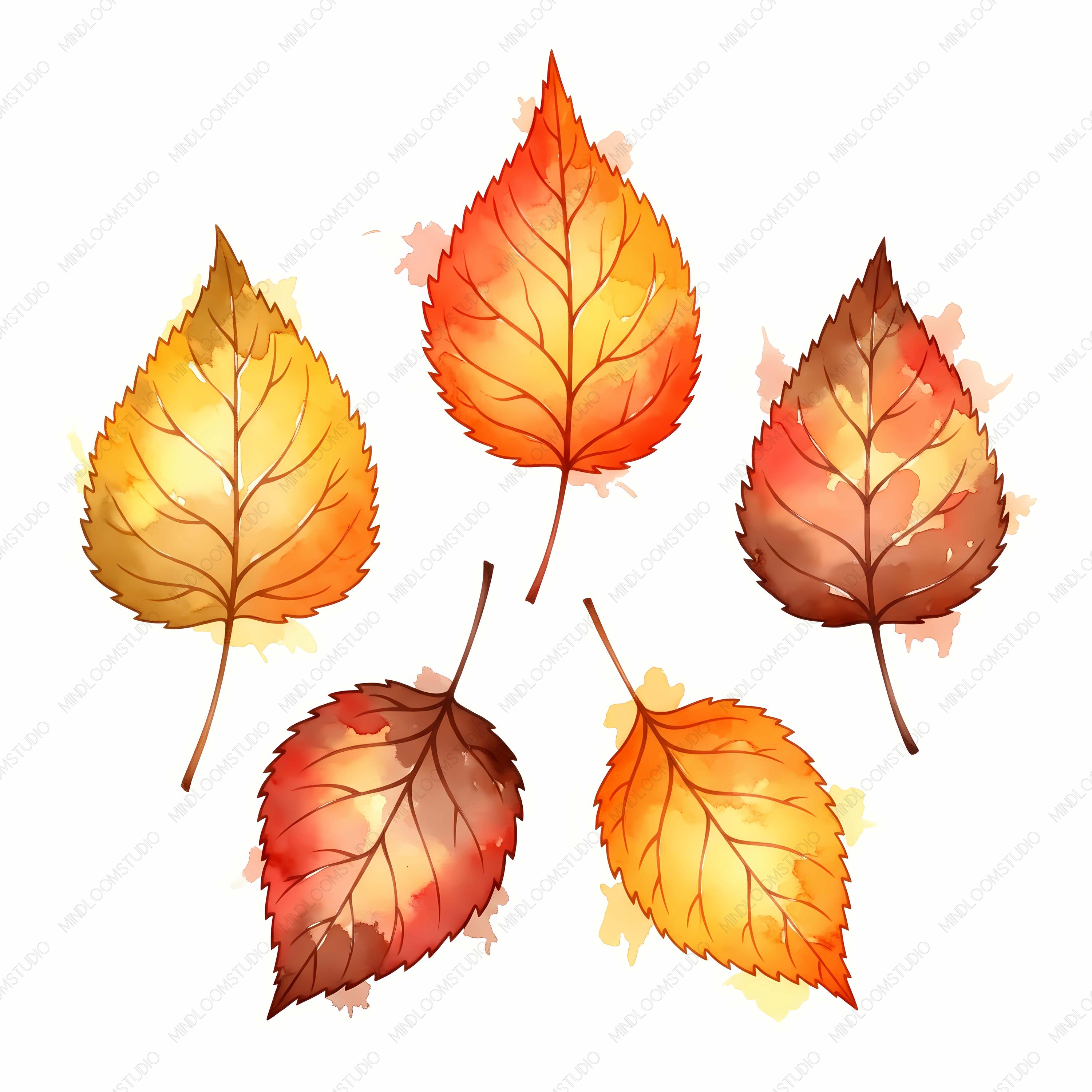 Watercolor Fall Leaf Clipart: Cozy Autumn Leaves (digital Download) - Etsy
