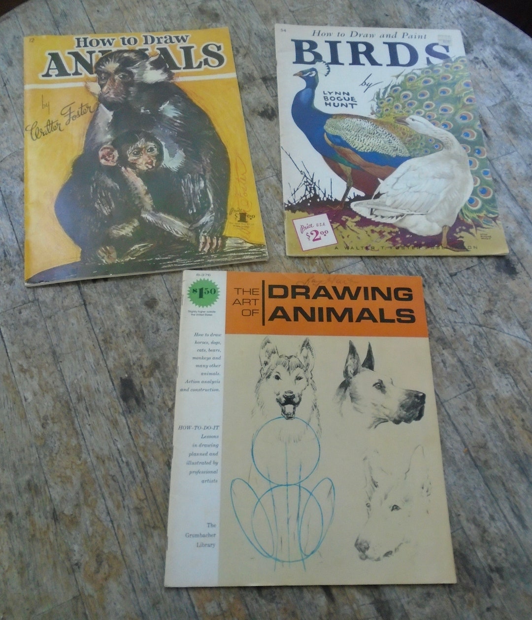 3 Drawing Animals Art Books How to Draw Animals Birds Walter T. Foster