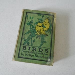 1913 Birds That Every Child Should Know by Neltje Blanchan Antique Children's Book