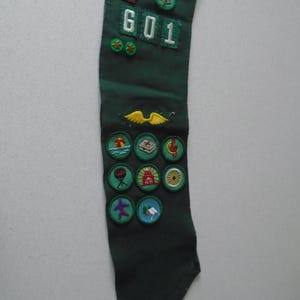 May include: A dark green sash with embroidered patches. The sash has the text "SOUTH COOK COUNTY" and the number "601". Various patches depict images of a beach, a grill, and a flower.