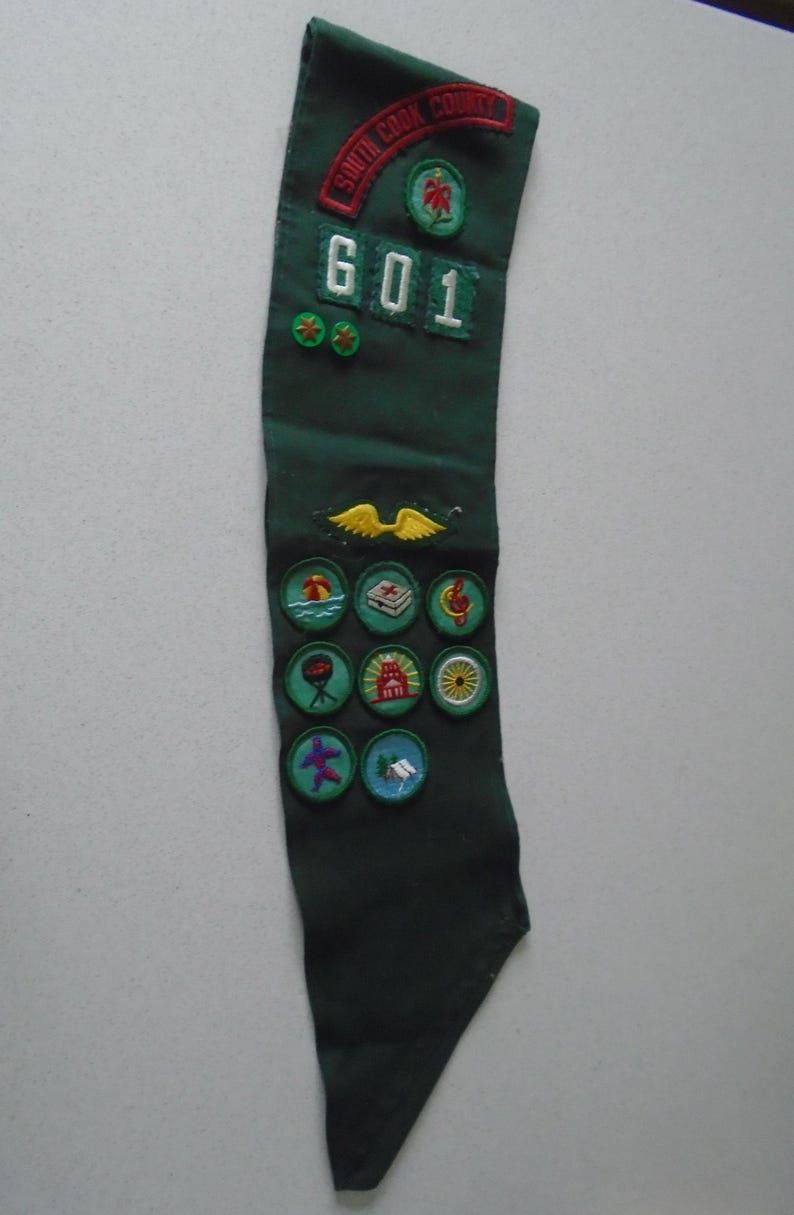 May include: A dark green sash with embroidered patches. The sash has the text "SOUTH COOK COUNTY" and the number "601". Various patches depict images of a beach, a grill, and a flower.