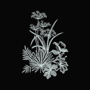 May include: A detailed white line drawing of various plants and flowers against a black background. The illustration includes detailed leaves, flowers, and seed heads, creating a botanical design. The style is reminiscent of an intricate botanical illustration.