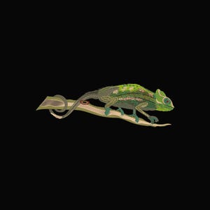 Chameleon Embroidery Design | Realistic Lizard Machine Embroidery Pattern | Wildlife Animal Embroidery | Digital Download