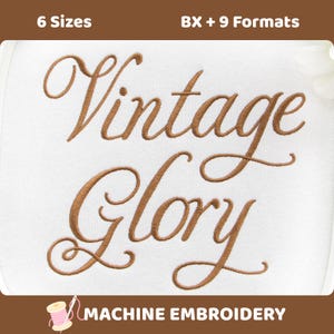 Vinatge Glory Embroidery Font, Elegant Calligraphy Alphabet, Swirly Cursive Letters, 6 Sizes, 9 Formats + BX (Digital Download)