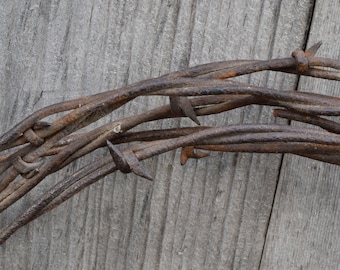 Barbed Wire Two Prong Vintage Rusty Barbwire
