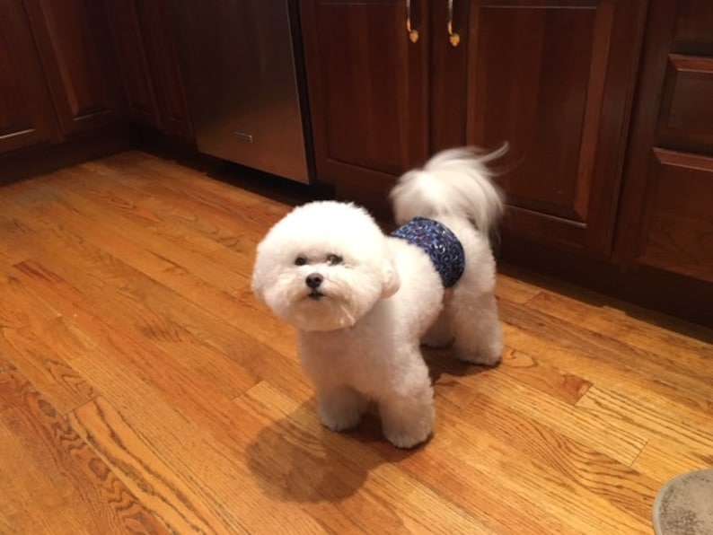 Dog Diaper Male Dog Diaper Belly Band Belly Wrap Etsy