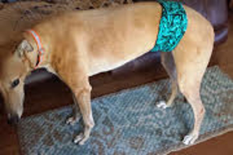 Absorbent Washable Reusable Belly Band Waterproof Male Dog Diaper -Teal and Black Animal Available in all Sizes