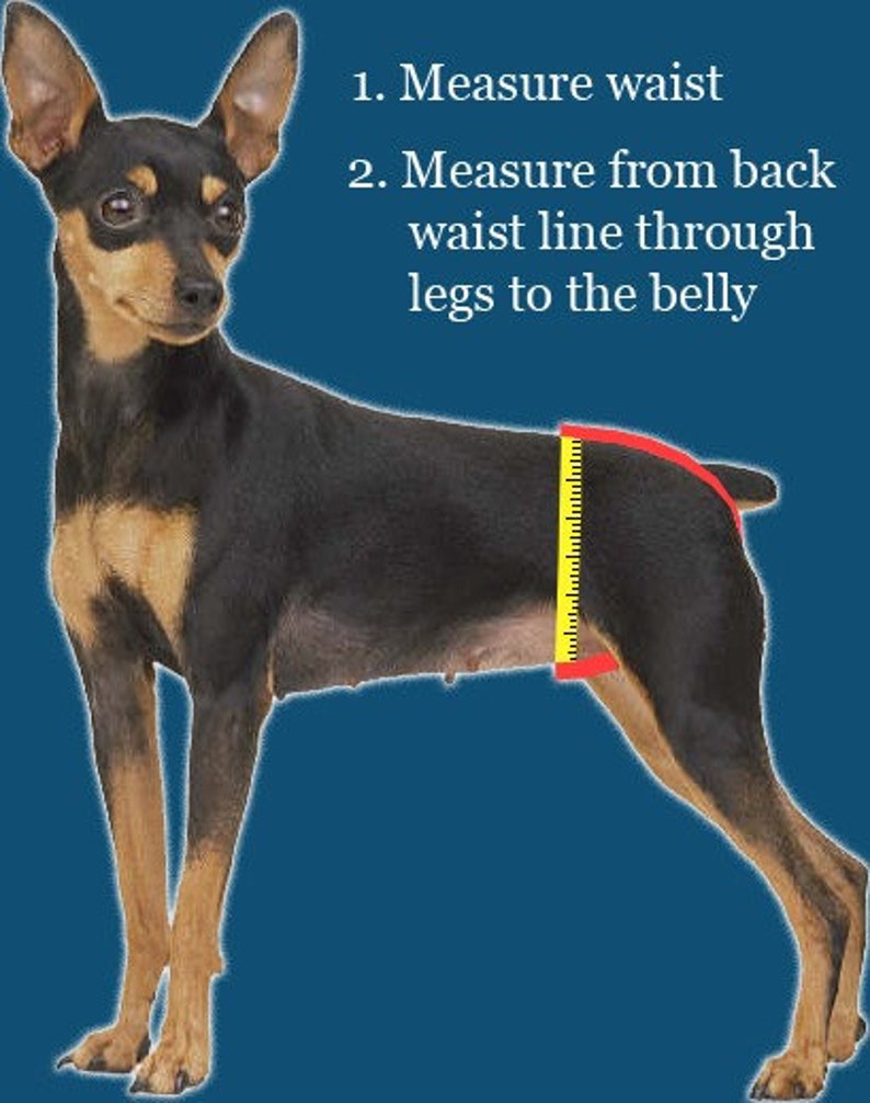 Small Petite READY to SHIP Red with White Swirls Female Dog PantyDiaper