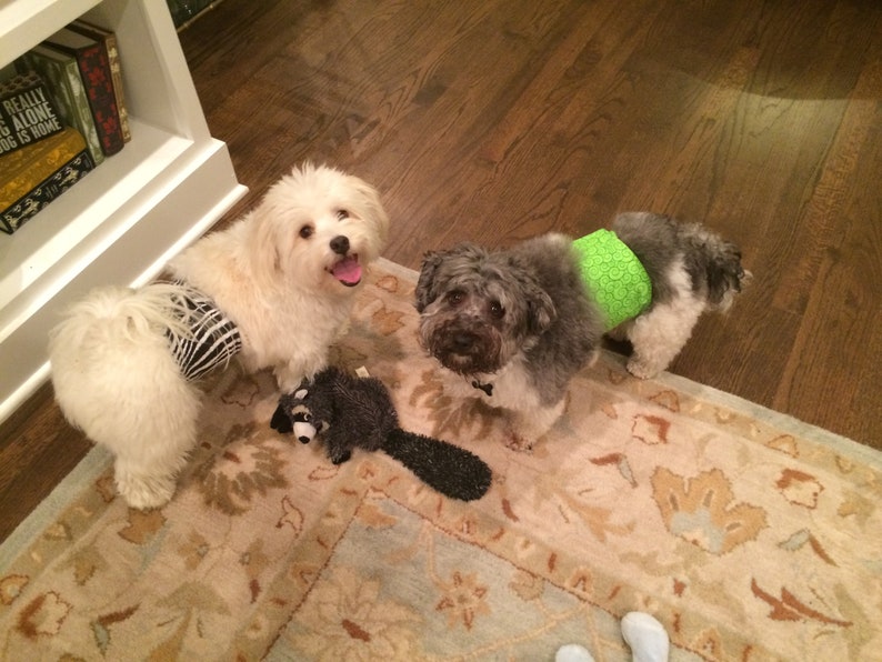 Absorbent Washable Reusable Belly Band Waterproof Male Dog Diaper -Teal and Black Animal Available in all Sizes