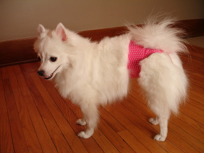 Small Petite READY to SHIP Red with White Swirls Female Dog PantyDiaper
