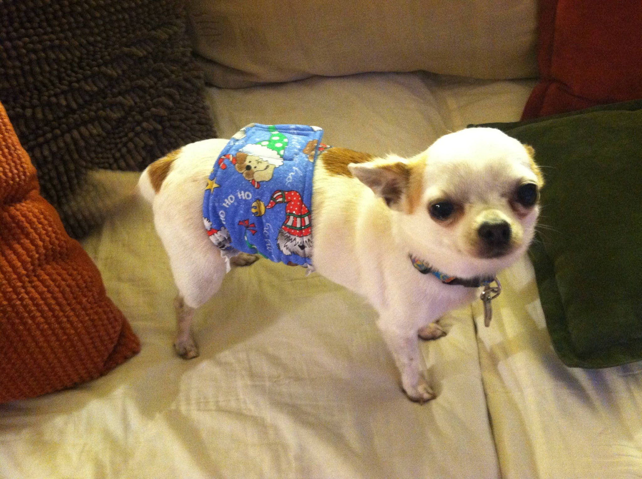 Belly Bands for Male Dogs Belly Band Male Dog Diapers Etsy