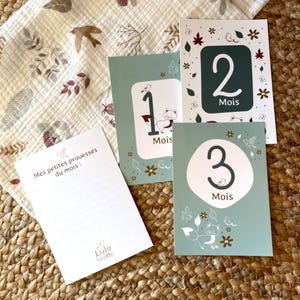 Cartes étapes Renard Rêveur